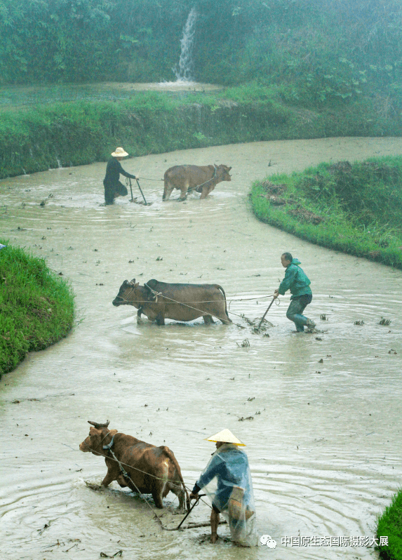 贵州洋洞村