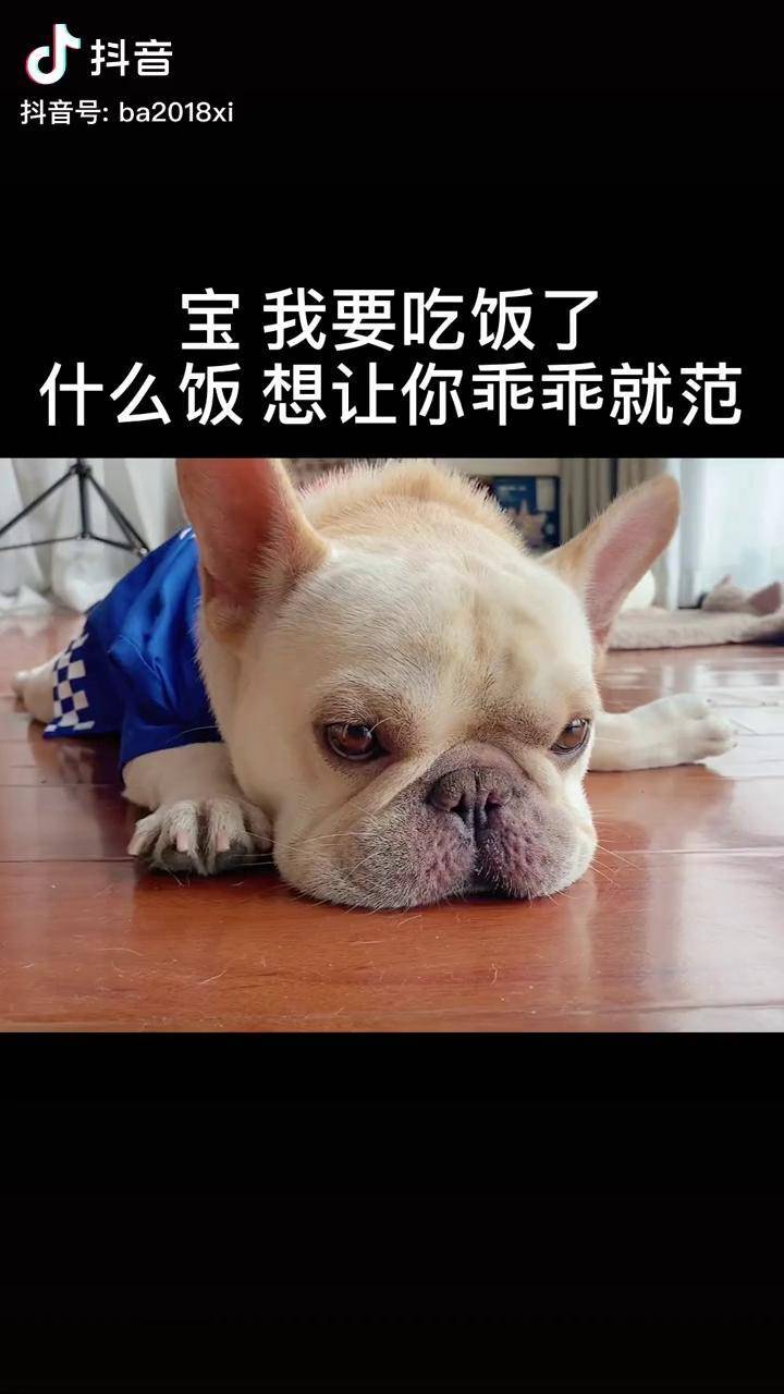 720_1280竖版 竖屏