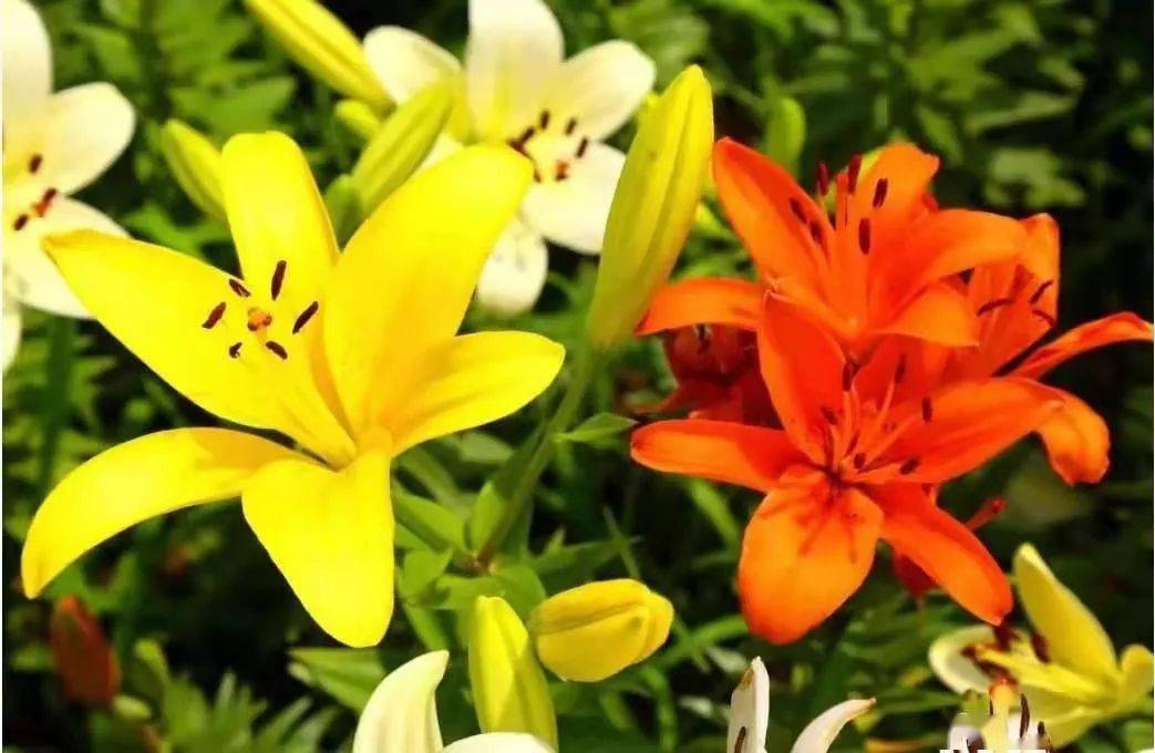 国际文旅节 46c6aab94f014255981f05b86c6d7aa4.jpeg