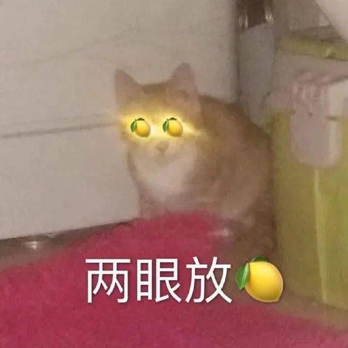 5638a467d6fa481ebdbcc1671e1fb6d1.jpeg