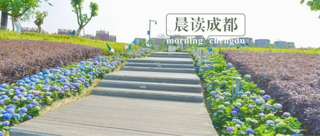成都母亲节户外大屏——超前之举的温暖传递