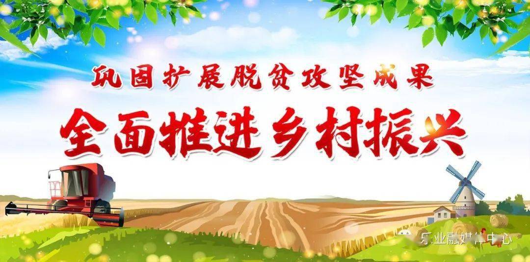 巩固拓展脱贫攻坚成果全面推进乡村振兴新化镇全面开展乡村风貌整治