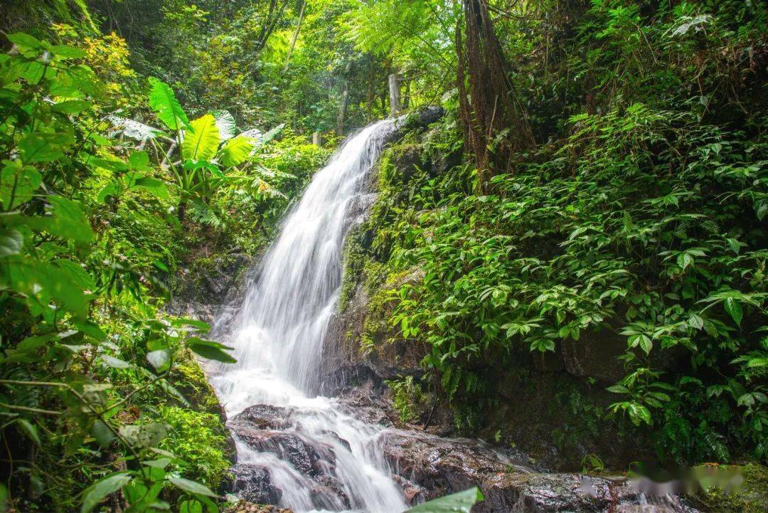 注意啦天井山国家森林公园67即日起至暂停开放别白跑一趟