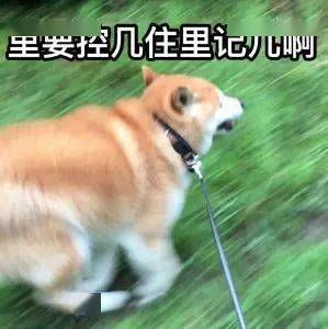 467e5834404946afb4d8f363f62a74ce.jpeg