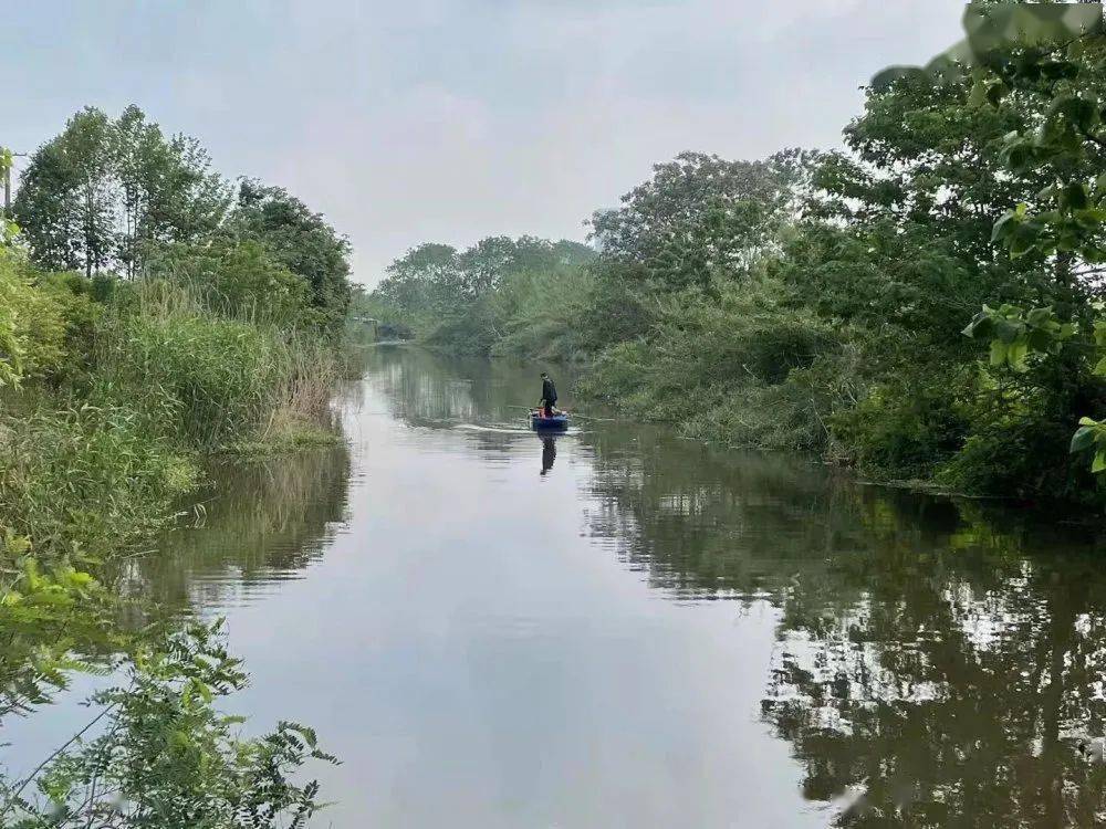 此外,陈子年积极主动参与社区河道的日常维护,打捞水浮萍,水面漂浮物