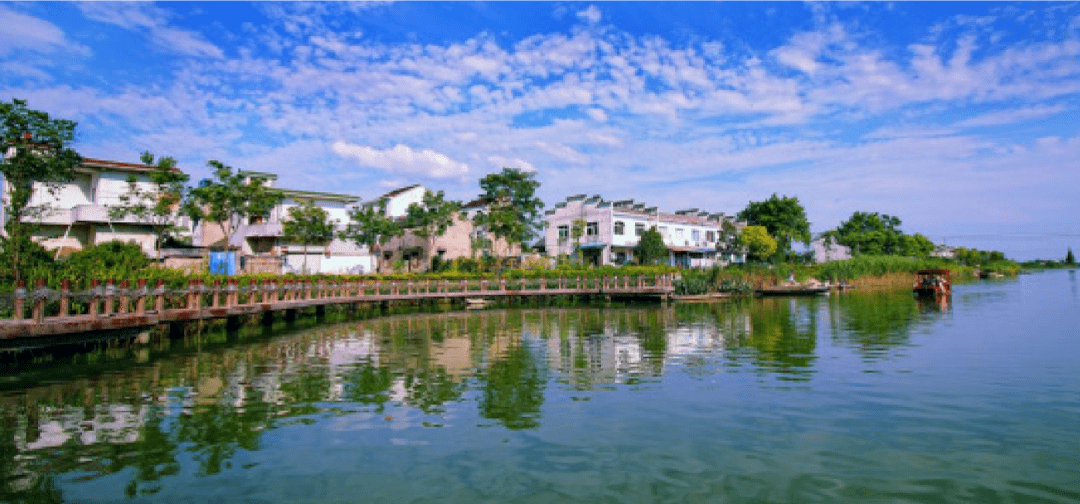 喜迎党代会湾沚区四箭齐发助振兴