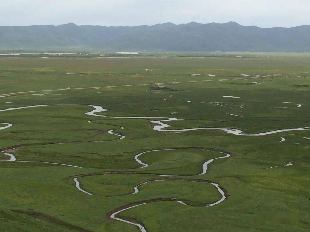 马晓娟内容来源 | 甘南日报主编 | 宁峰平审核|张 佳责编 | 龙小菲