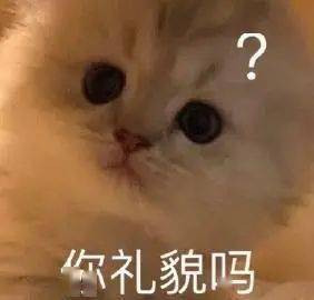 11d124b772204138864de44c0e2cc009.jpeg