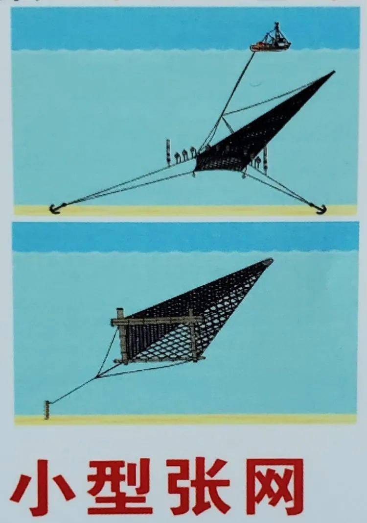 单拖,双拖,耙刺,抄网,帆张网 休渔时间:5月1日12时至9月16日12时.