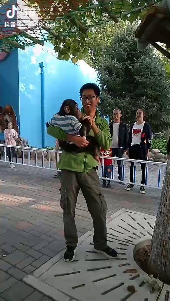安东阳抖音=安东阳最火的一首歌