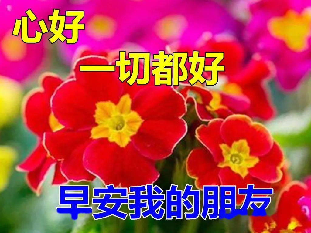 6月21日最漂亮早上好动态表情图片大全早上好动图美图大全