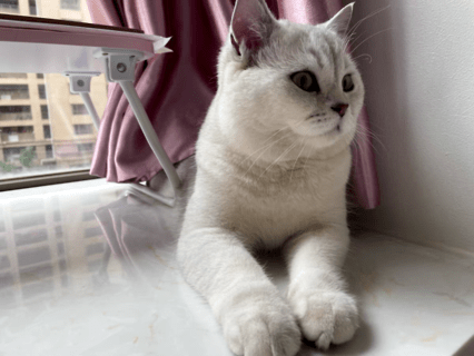 8b5107df969143a1aeb03bf11ae0363e.png