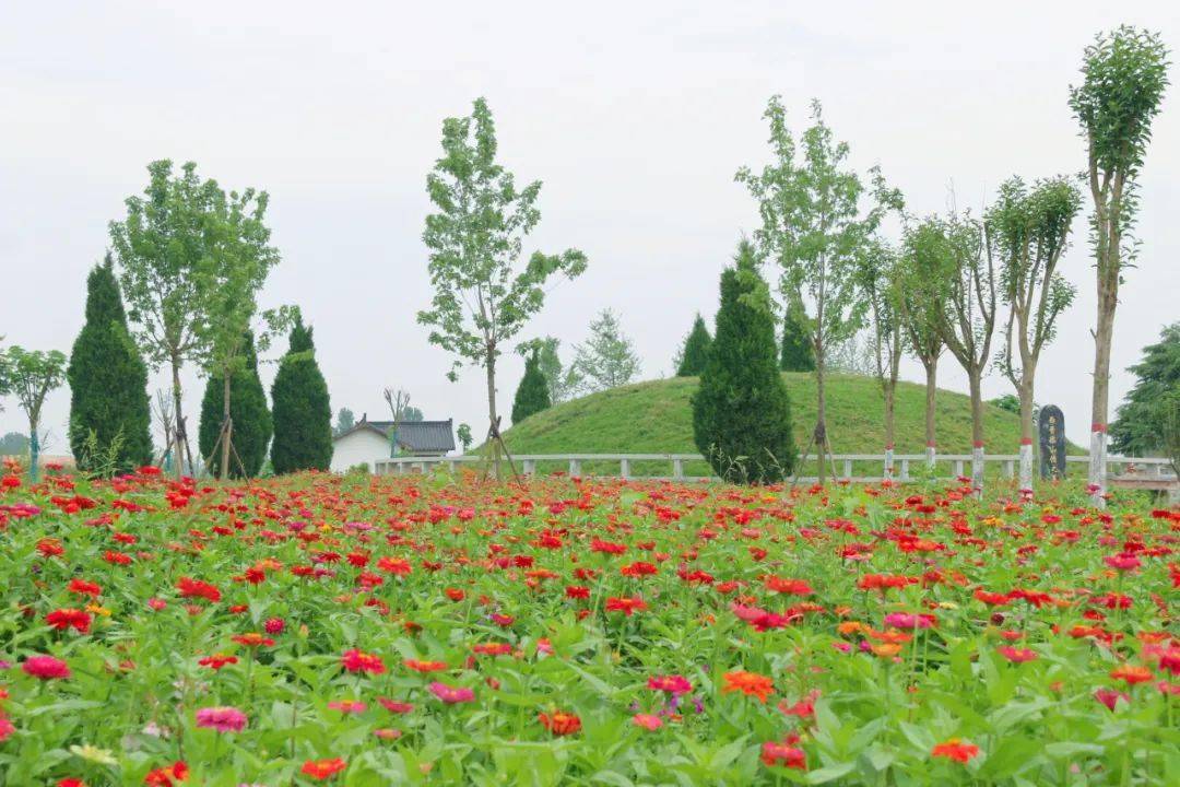 汝南梁祝公园刚拍的!漂亮吗?