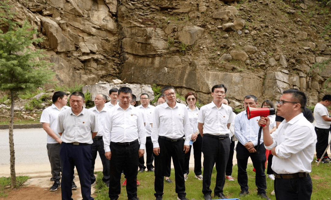 县委副书记,县人民政府县长李勇,县委常委,县人民政府副县长林崇辉,县