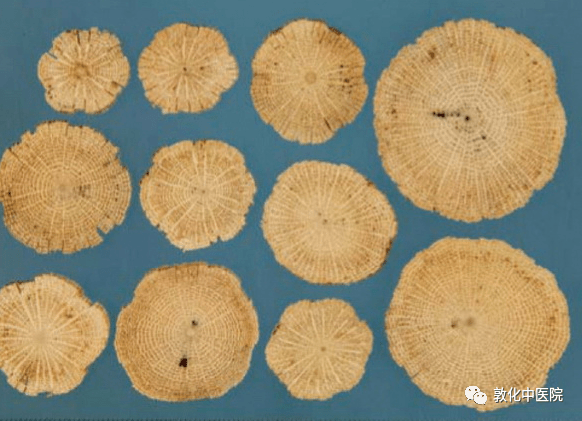 皮部棕色,木部淡棕色,有数圈环状纹理,习称"鸡眼圈纹",针孔状导管清晰