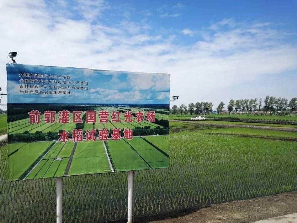 多年来,红光农场积极做好水稻品种的引种实验示范工作,通过农场带头