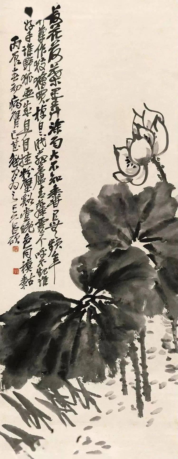 吴昌硕画荷醉墨团团别有风雅