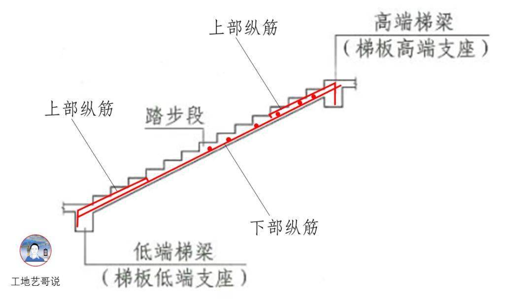 結構鋼筋構件圖解一文搞定文圖並茂建議收藏