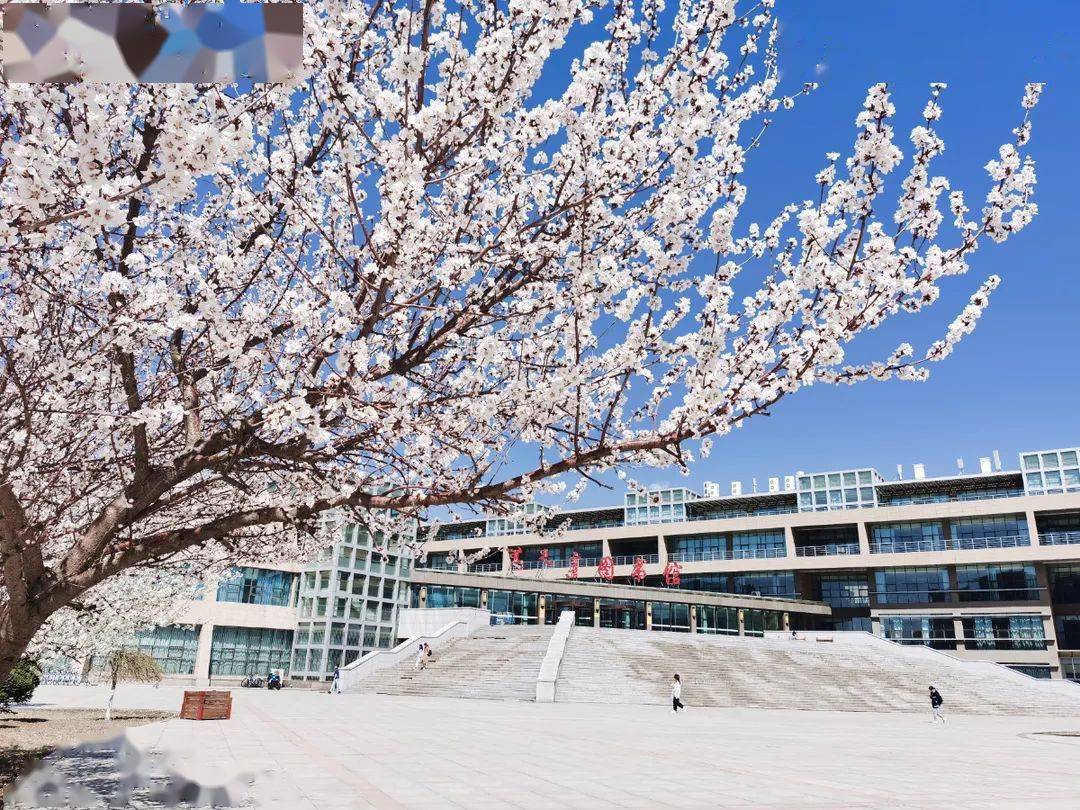 内蒙古财经大学这些必打卡的校园风景你get了吗