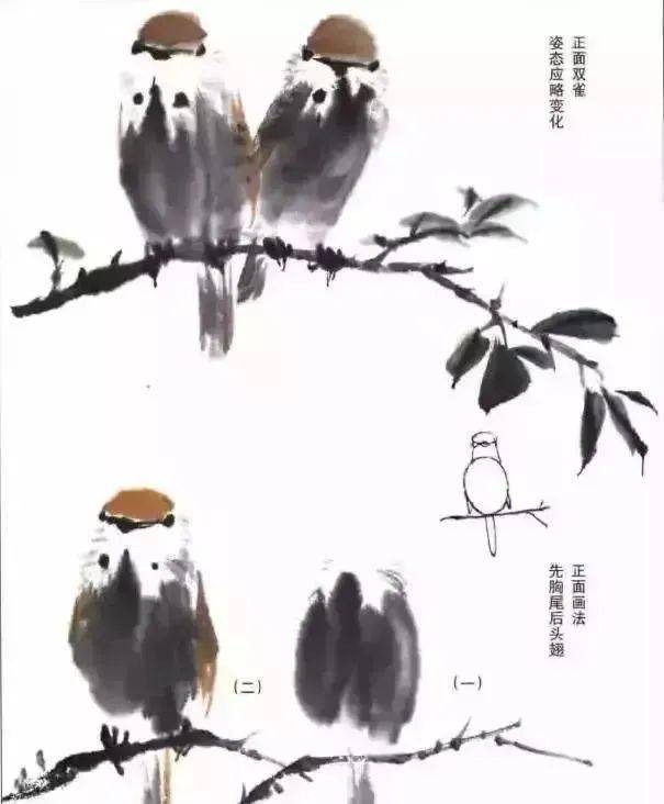 国画教程麻雀太平鸟只要画好这步就对了