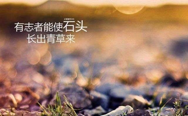 a24ab2ddc8714bad886dba64ce469928.jpeg
