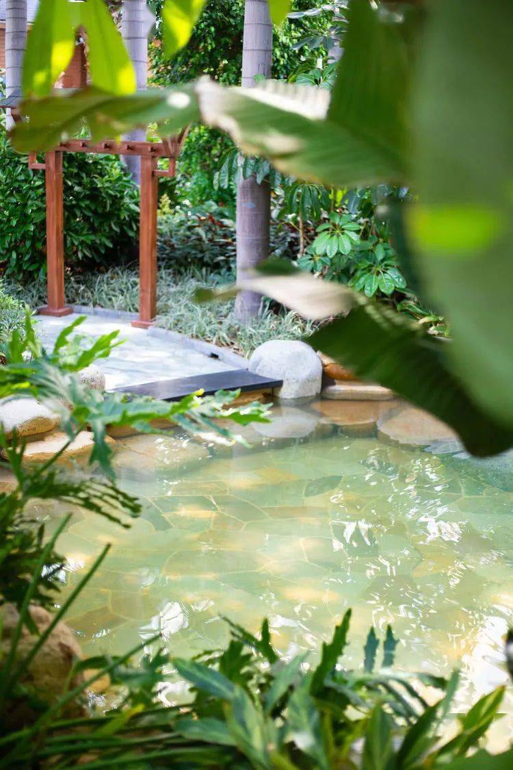 599泡天然海水温泉3600m06网红东南亚泳池就在白金宫殿里