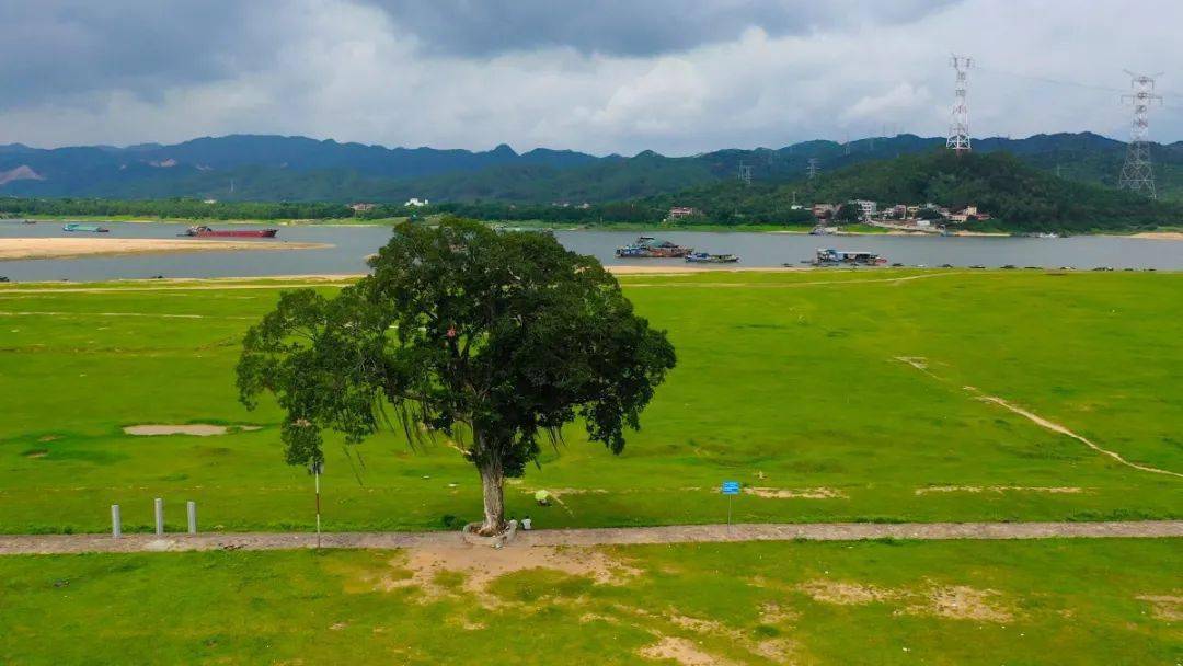 炎炎夏日,我只想去这些地方._清远市