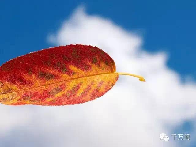 人生不是赢在起点,而是赢在转折点!