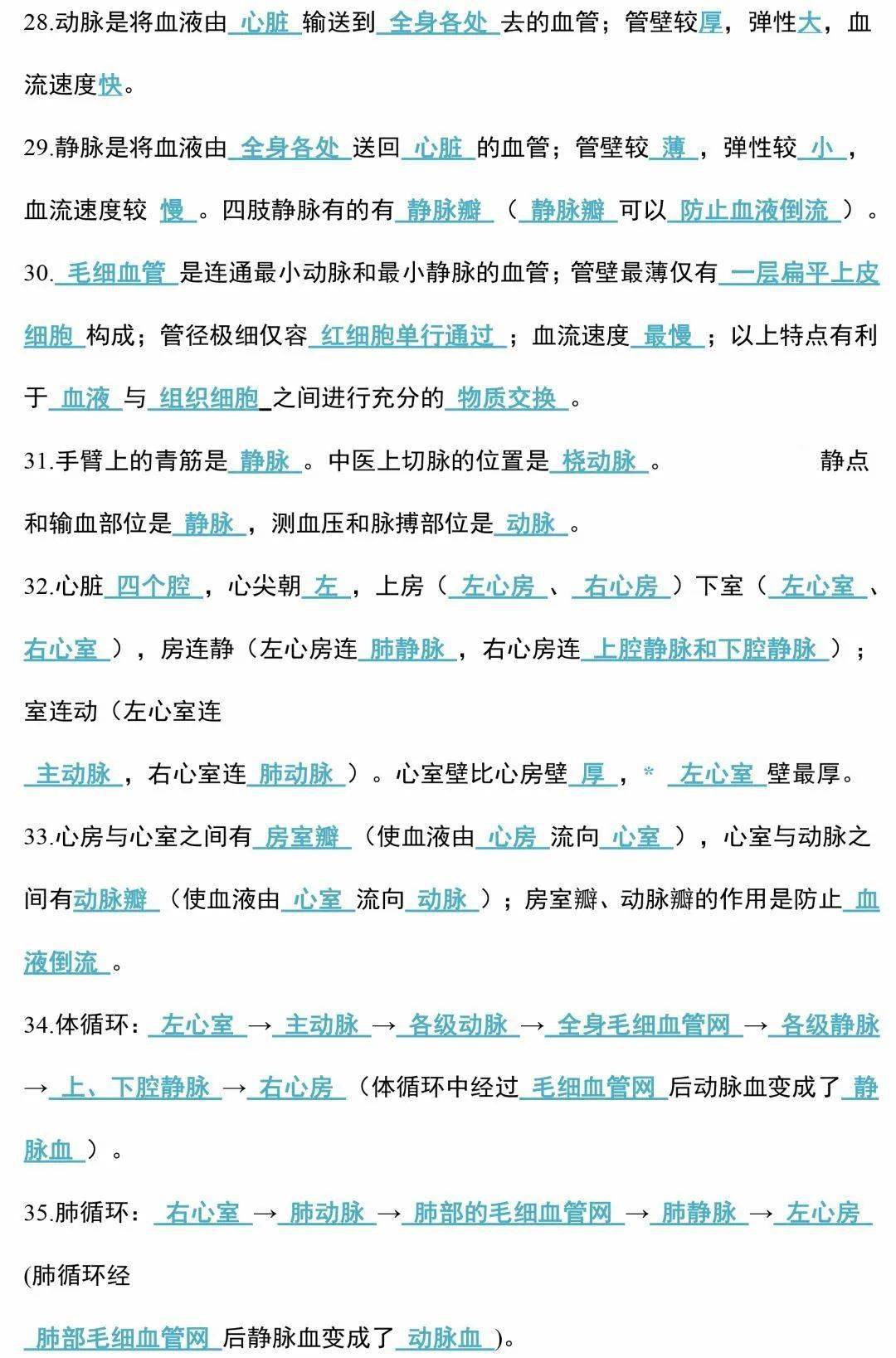 adc6174e3a914de5be7f12a2ca0024e7.jpeg