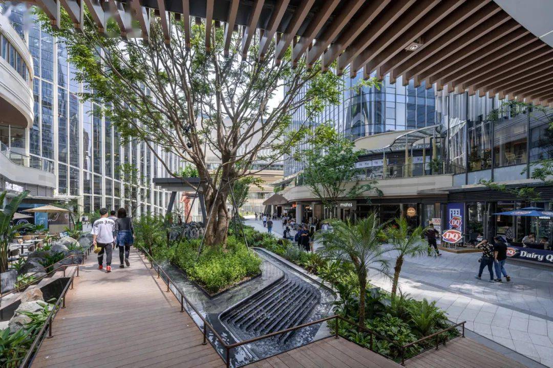 绿化加强了建筑与周边环境的视觉联系表达了与生态的结合屋顶空间的