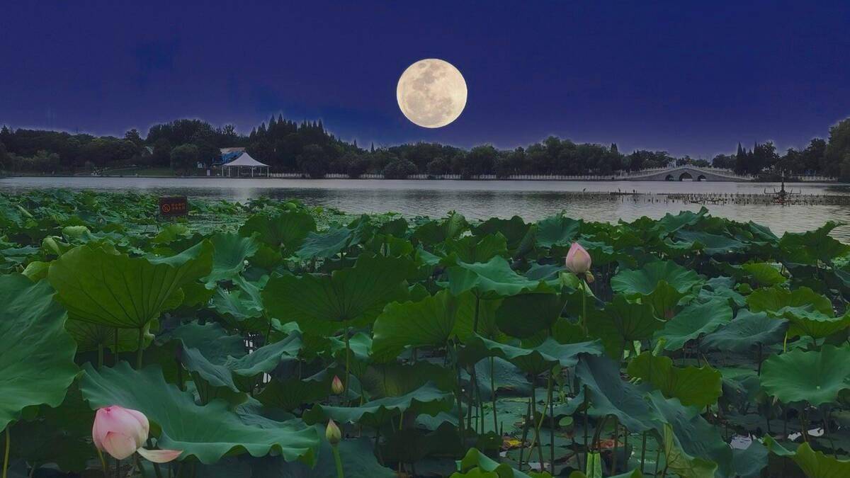 烈日灼灼送你三首清风明月的古诗愿你拥有一个清凉惬意的夏天