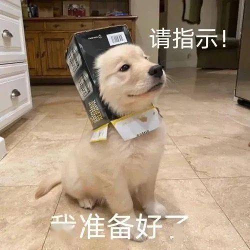 21891f51053c4b0ea6b358e44b004ba5.jpeg