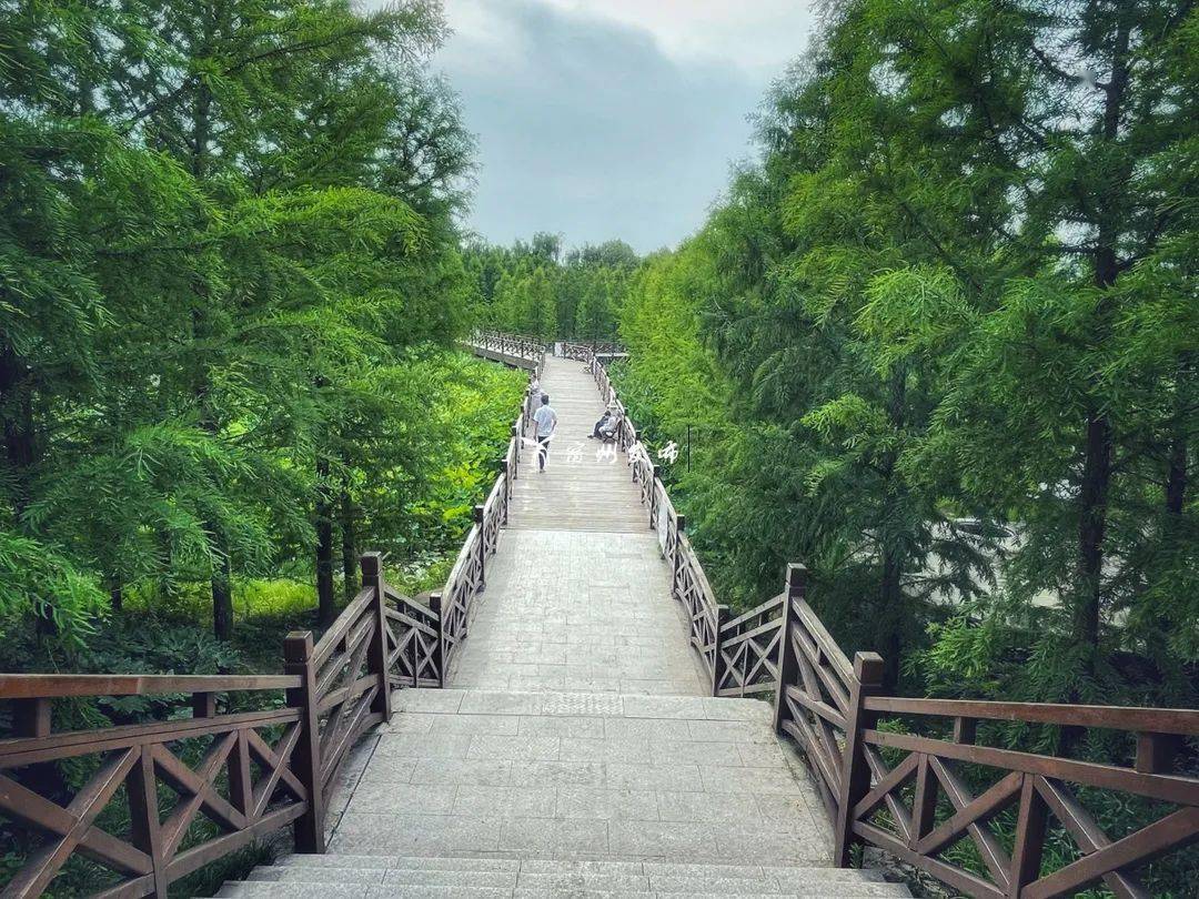 很漂亮隐藏在宿州城市中的湿地公园你去过吗