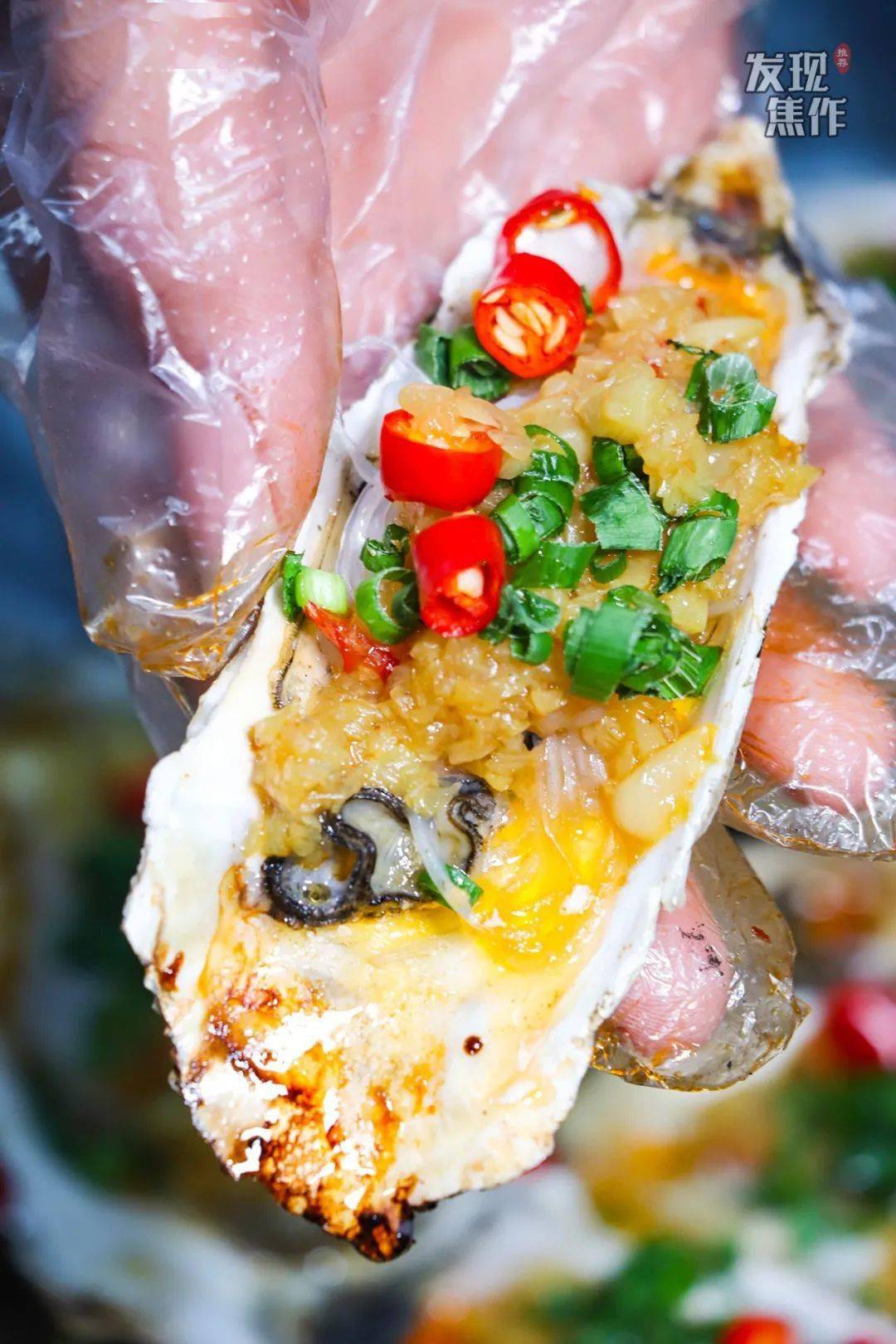 焦作这家店太sǎi了299元吃烤生蚝套餐爆炒花甲凉菜还有100啤酒畅饮分