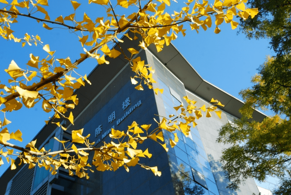 北大学科长廊法学院在公义衡平与人性温度间叩启法学之门