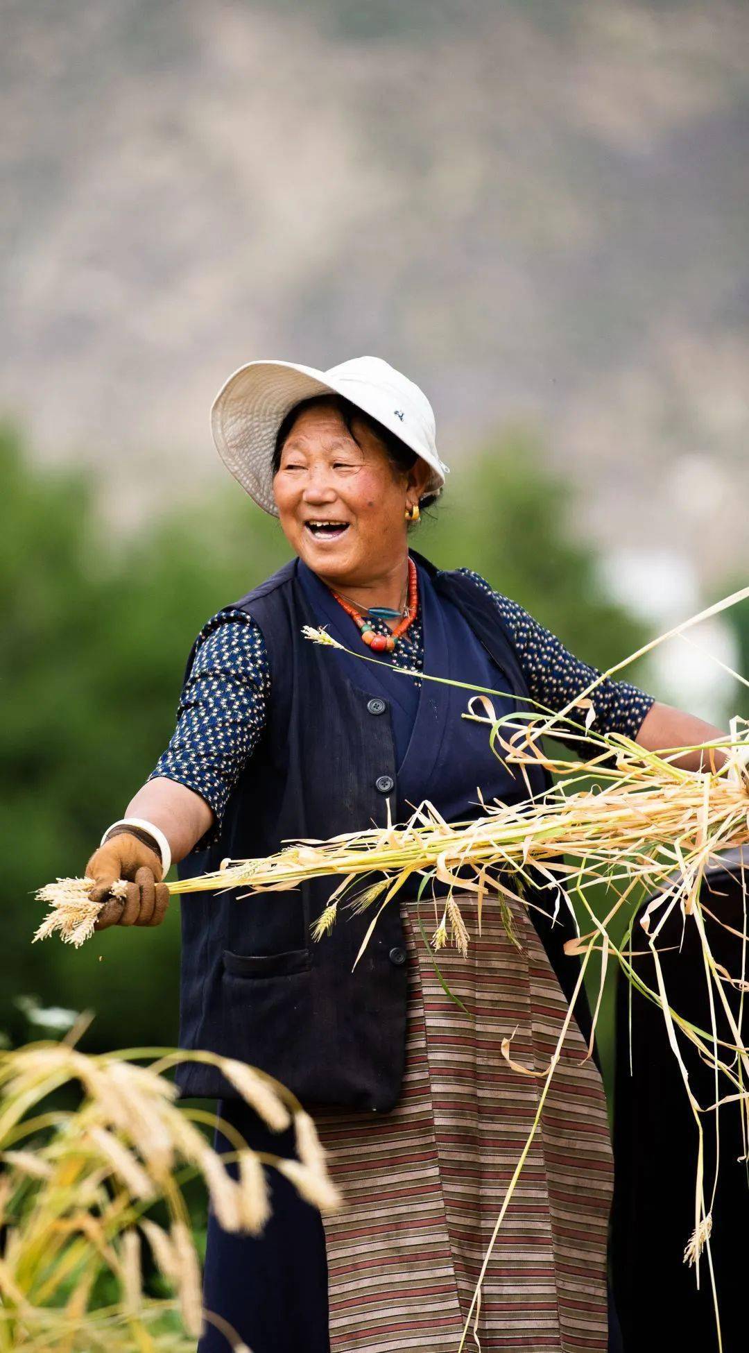 中国梦74劳动美书画摄影展④▏幸福生活篇