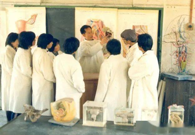 莱阳卫校70周年校庆征文|母校那年_解剖