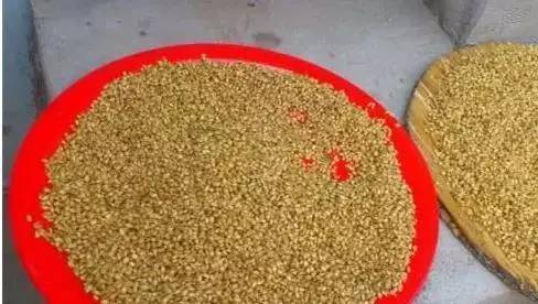 自制啤酒发酵窝料手竿爽拉大草鱼附配方