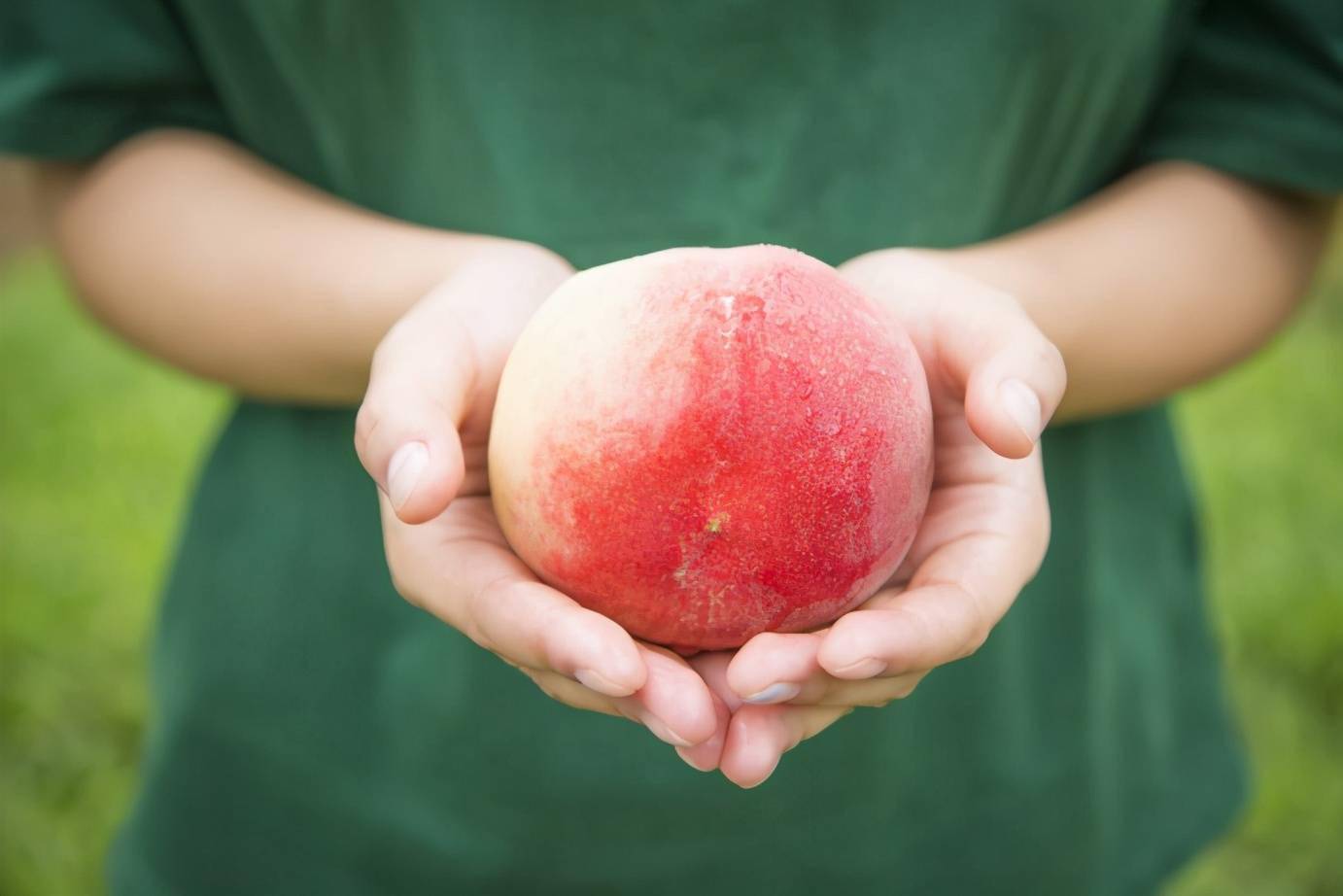 夏天是吃桃子的佳季,路过水果档可以看到各种各样诱人的桃子:水蜜桃