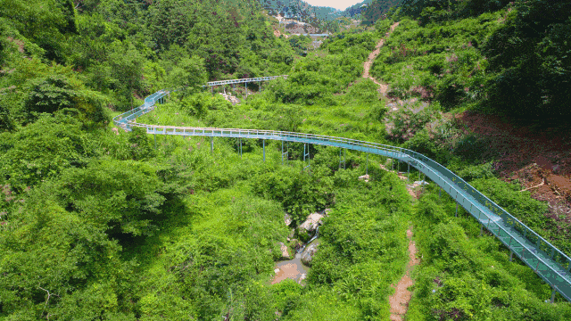 06558纯玩泉州石龙谷森林公园西沙湾汽车二日游