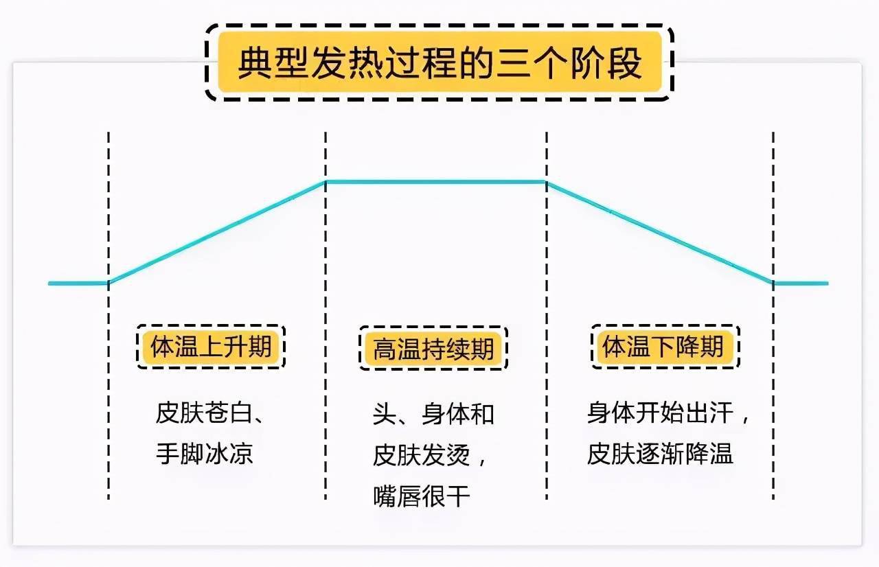 发热一共分为三个阶段,即体温上升期,高热持续期和体温下降期