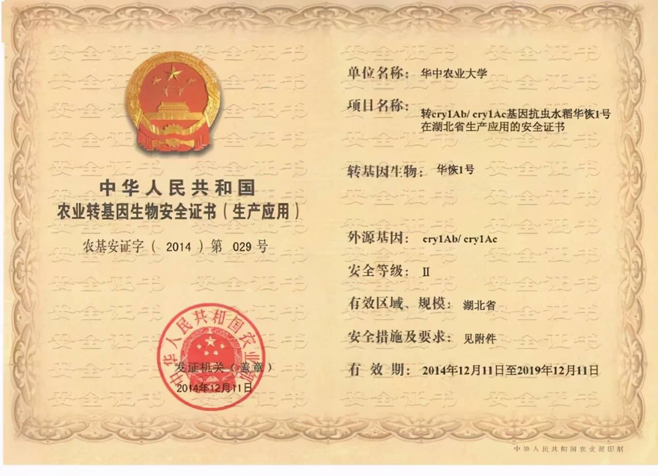 时隔半年，我国出口欧盟的大米制品再次被检出转基因成分_搜狐网