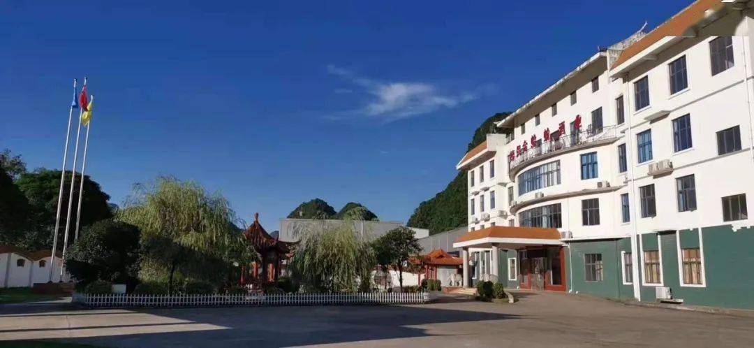 德保县金蛤蚧酒厂有限公司招聘啦