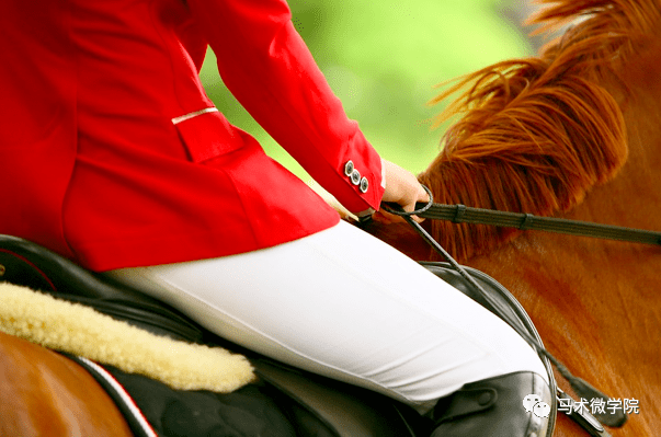 骑手如何做到骑坐平衡而不拘谨