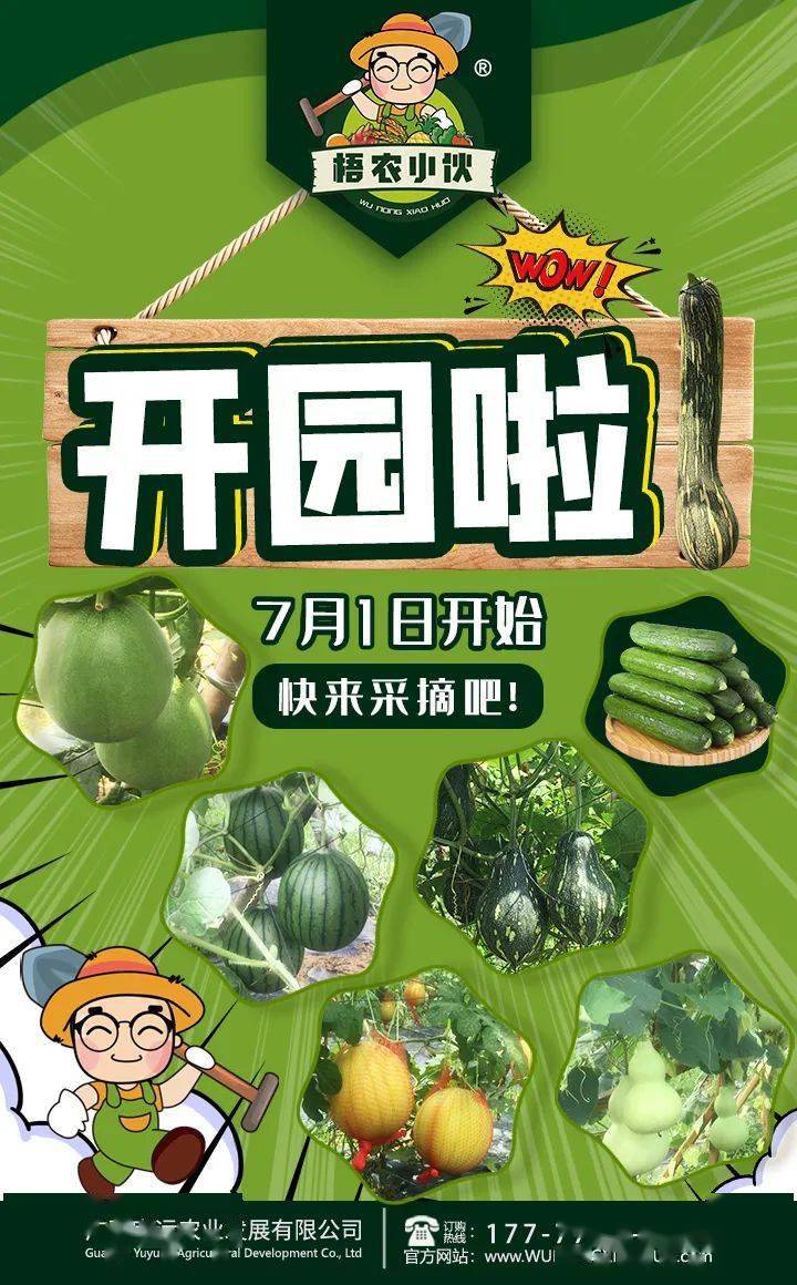 琳琅满目独具一格梧农小伙生态采摘园等您顺藤摸瓜啦