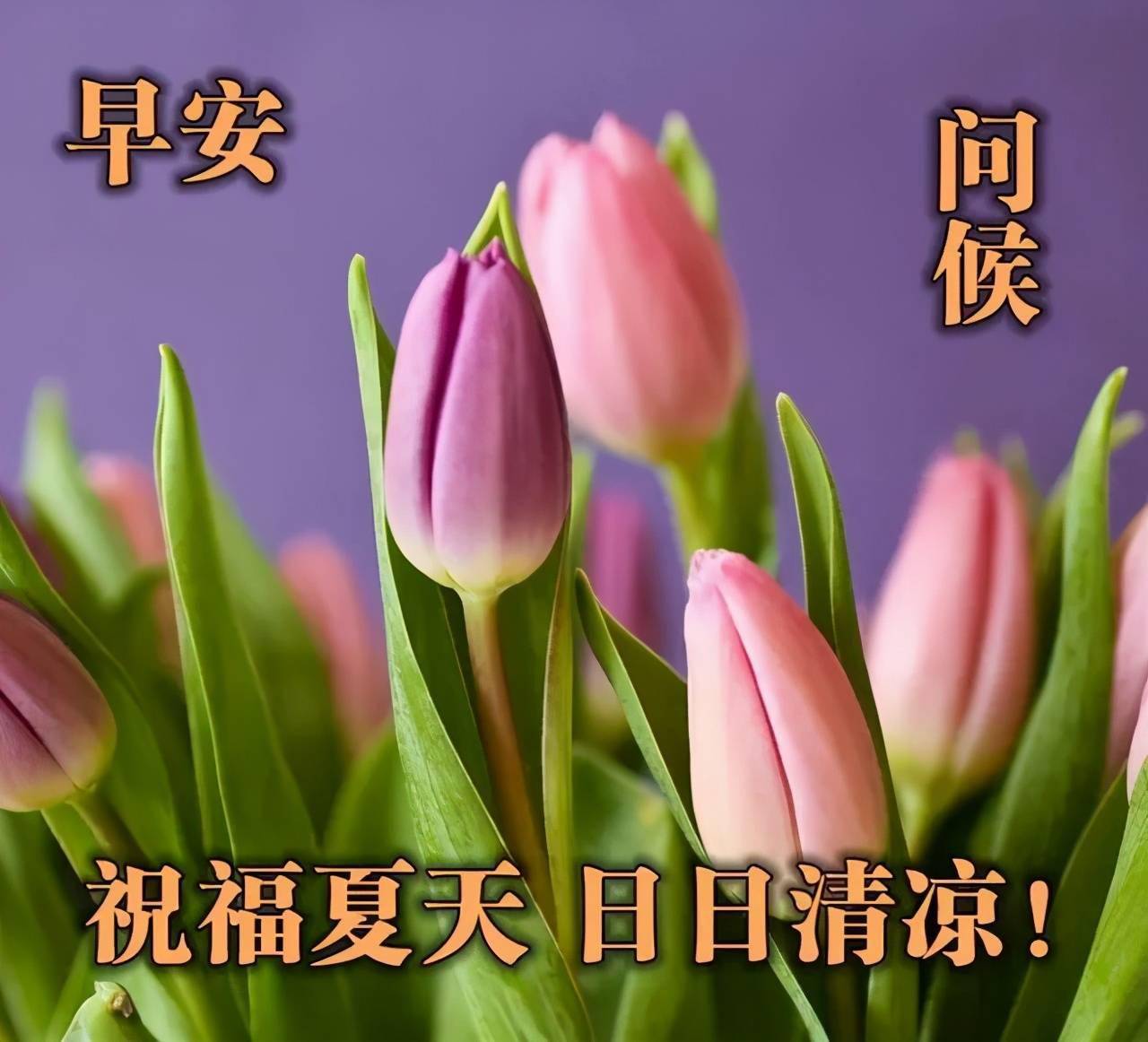 早安吉祥帶著感恩與善良擁抱陽光溫暖前行早安