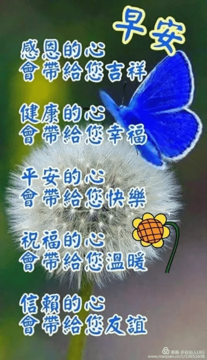 8f4eee8916b248518e1186f2bbca896b.png