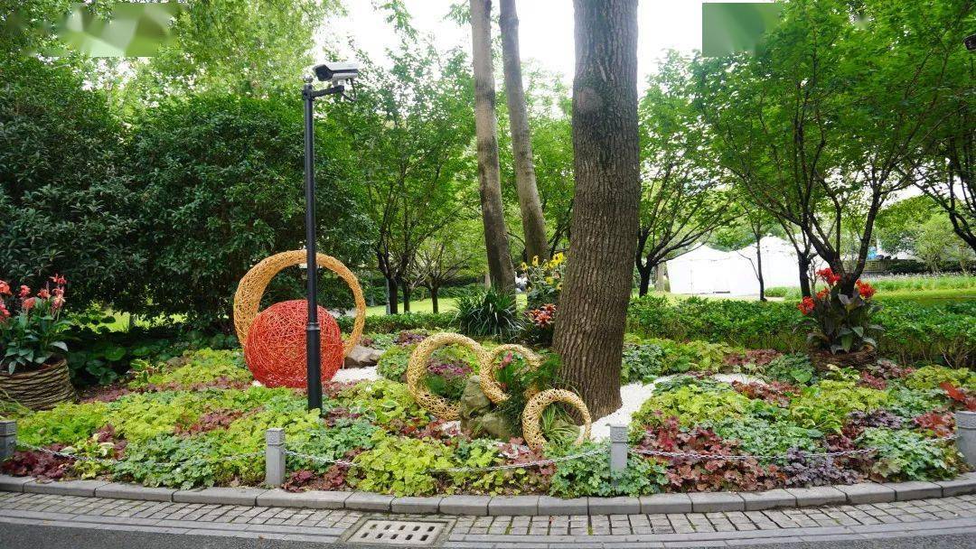 花团锦簇,流光溢彩,整洁有序,区绿化市容局以良好市容市貌热烈庆祝
