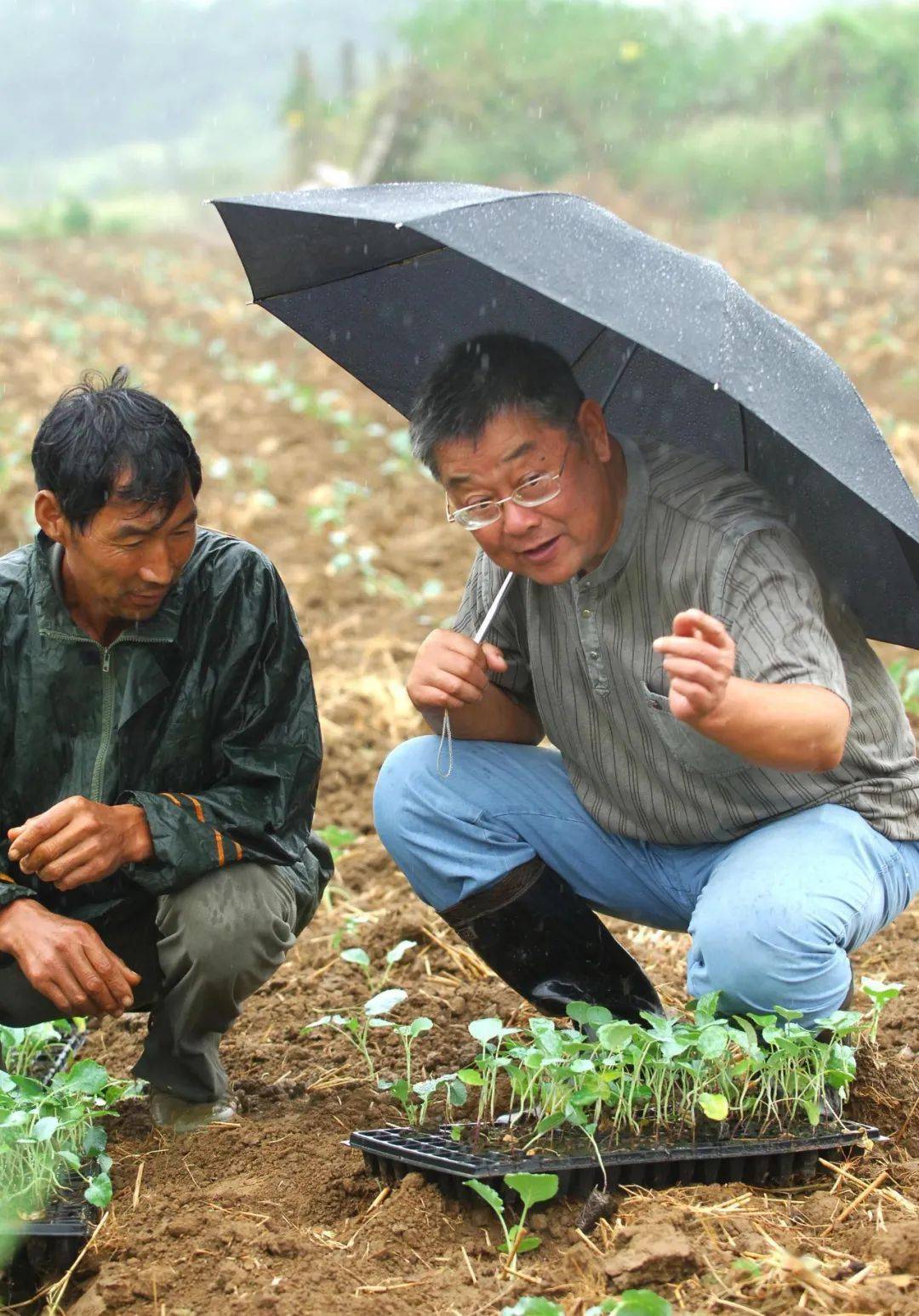 把论文写在大地上,把成果留在农民家