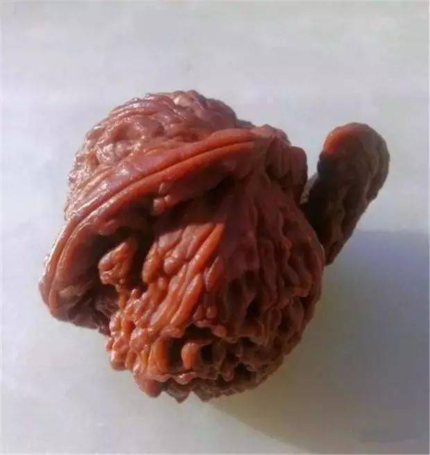 奇形怪状的文玩核桃大盘点,大开眼界!